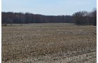 Property photo 177 - REAL ESTATE & PERSONAL PROPERTY AUCTION, 140 Acres offered in 8 Tracts or Combinations in Steuben County